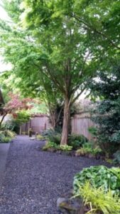 Smalls Garden Center Made In The Shade - Shorty'S Garden Center Photo 203