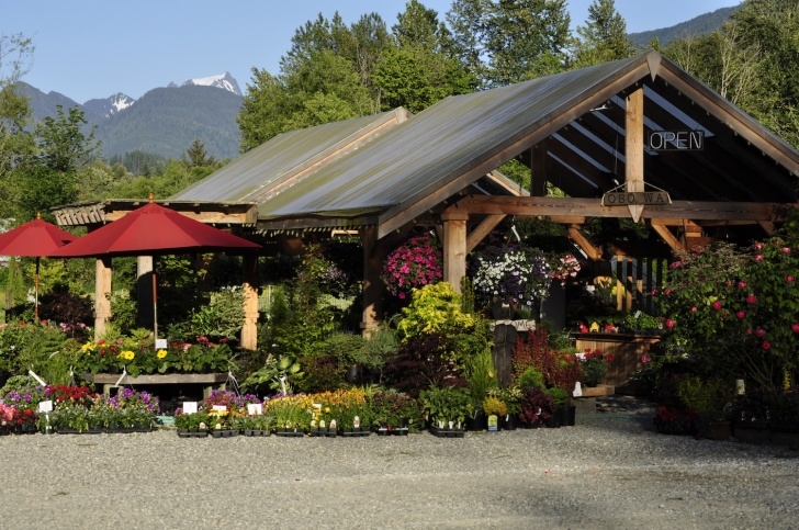 Smalls Garden Center Plant Nursery & Garden Center | Arlington, Wa - Fruitful Photo 961