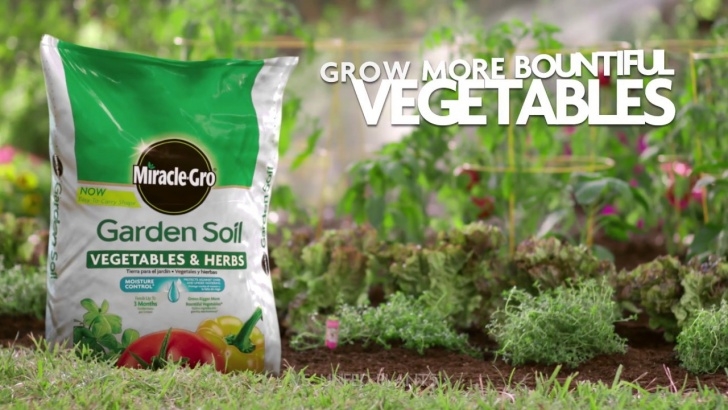 Soil Amendments For Tomatoes Miracle-Gro Garden Soil For Vegetables And Herbs- Soils Photo 313