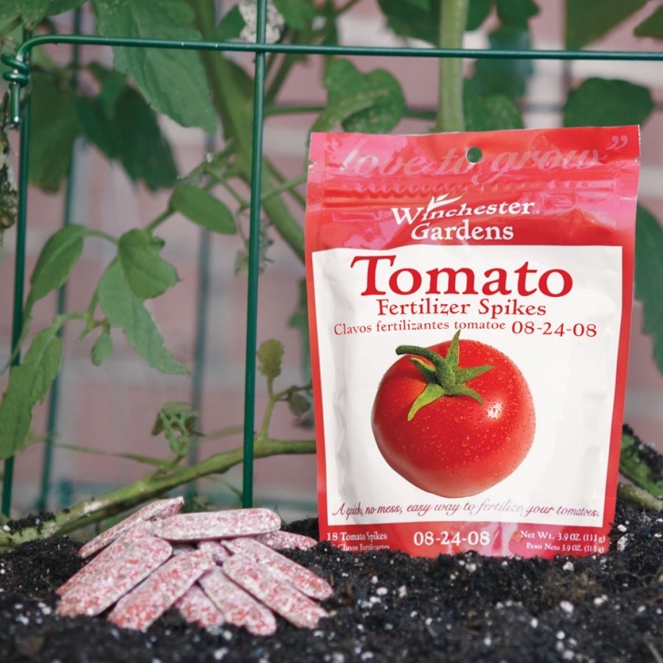 Soil Amendments For Tomatoes Tomato Fertilizer Spikes From Park Seed Photo 430