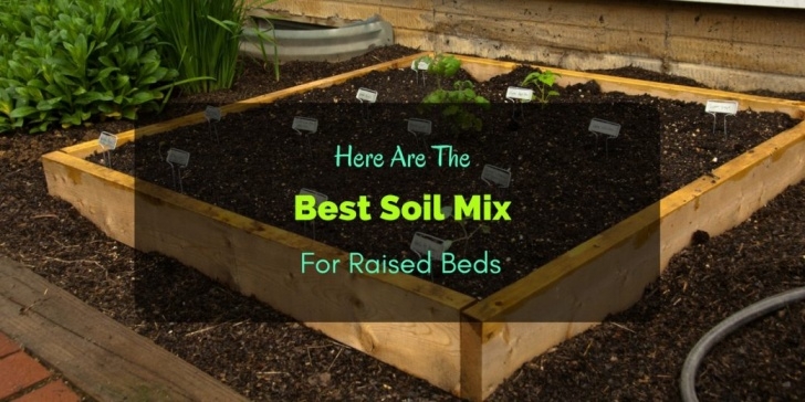 Soil For Growing Vegetables Here Are The Best Soil Mix For Raised Beds Picture 142