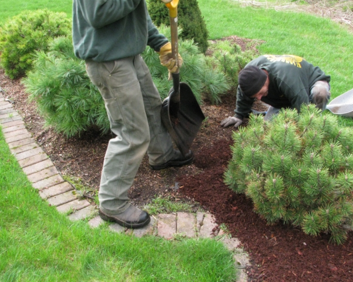 Spring Cleaning Landscaping Carr Property Services Picture 914