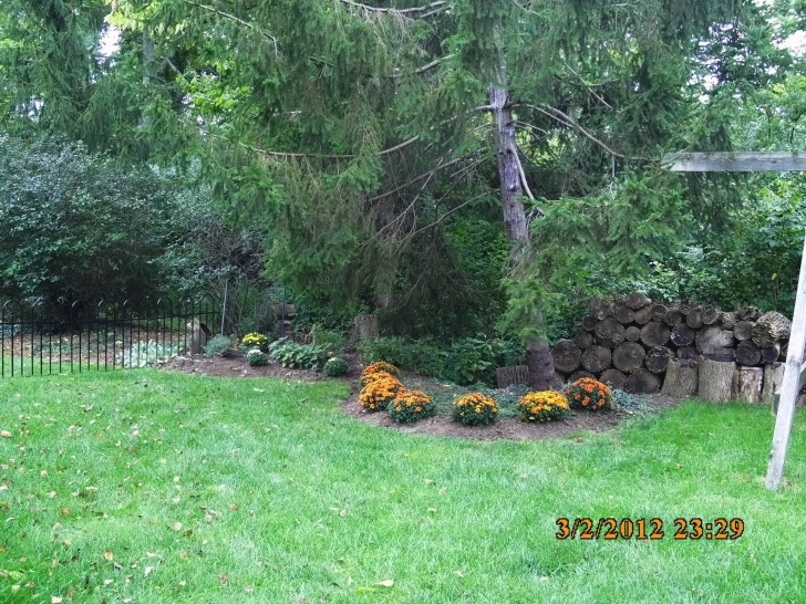Spring Cleaning Landscaping Landscaping Job 21 – Residential Landscaping, Mulch Image 185