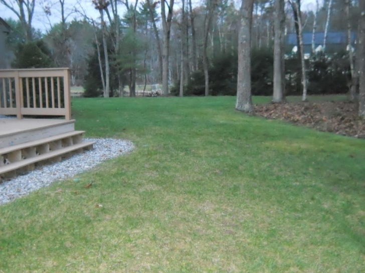 Spring Cleaning Landscaping Spring Clean Up In Nh - Spring Landscaping Services Picture 436