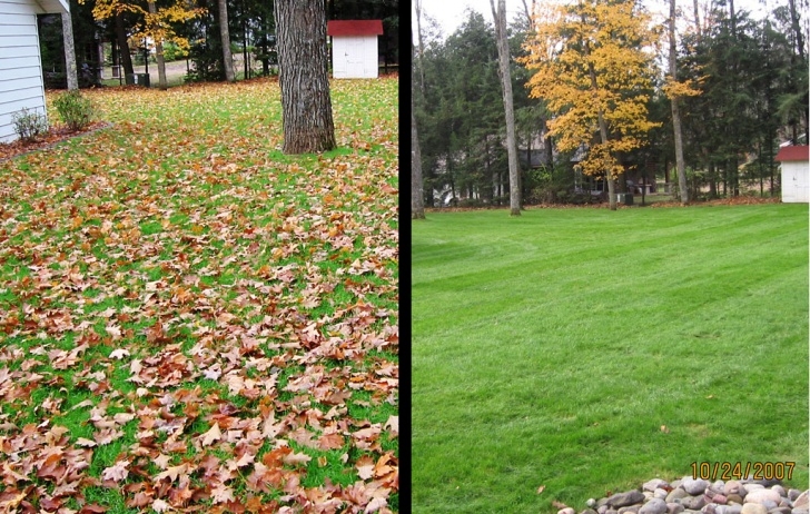 Spring Cleaning Landscaping Spring &amp;Fall Clean-Up – Luke'S Landscaping &amp; Tree Service Co. Picture 760