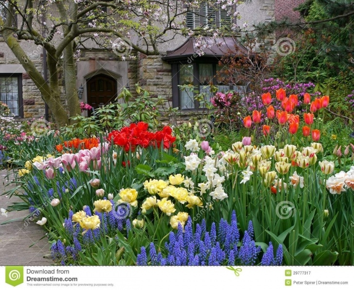 Spring Garden Landscaping Flowers Front Yard | Front Yard With Spring Flowers Photo 288