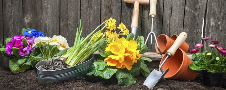 Spring Garden Landscaping Spring Gardening Tips | Genesis Land Development Corp. Picture 648