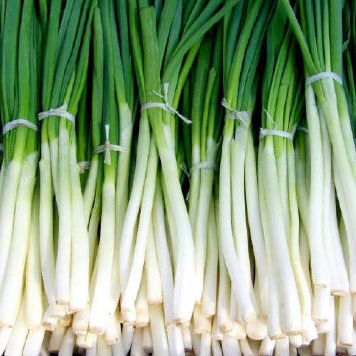 Spring Onion Companion Planting Spring Onion - Seed Australian Plants Online Photo 765