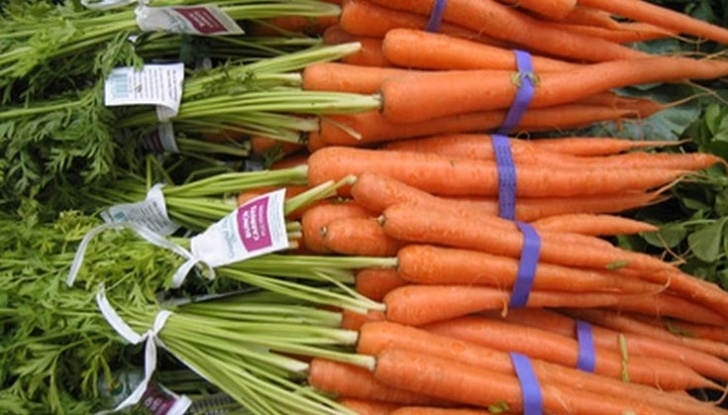 Spring Onion Companion Planting What Vegetables Grow Well In Sandy Soil? | Onion Companion Photo 883