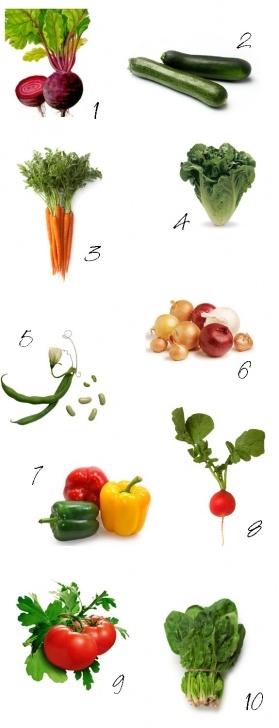 Spring Summer Vegetables Indigo 26: 10 Easy Vegetables To Grow In Any Space Image 933