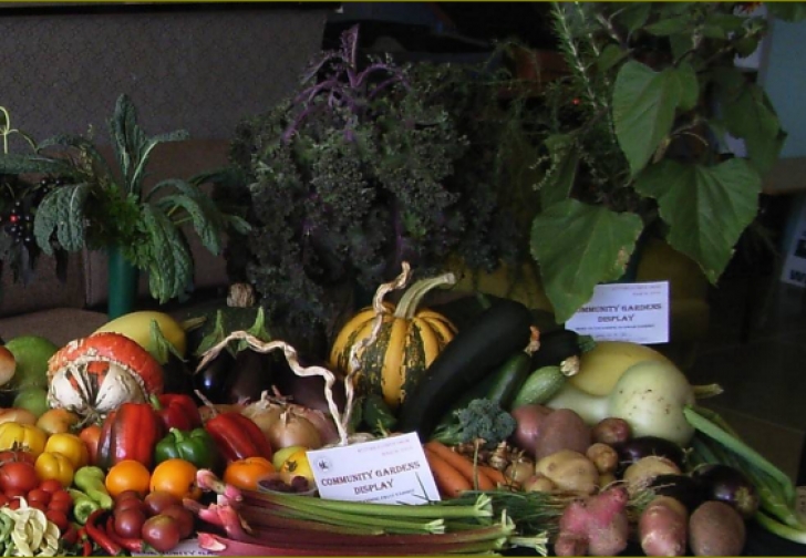 Spring Summer Vegetables Spring And Early Summer Vegetables - Hsoc Picture 718
