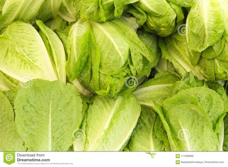 Spring Summer Vegetables Spring Summer Detox Fruit Vegetable Diet. Close Up Of Photo 126
