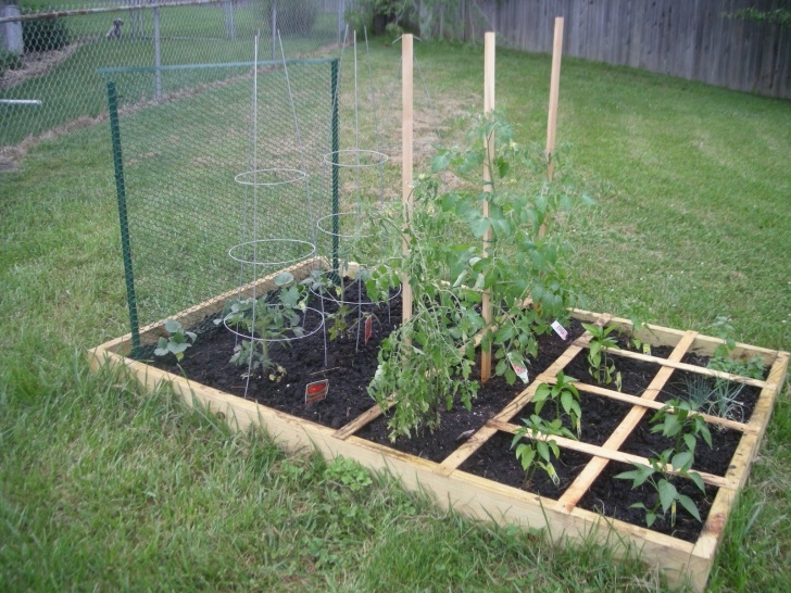Square Foot Gardening Tomatoes Cutting Coupons In Kc: Frugal Friday: Square Foot Gardening Image 721