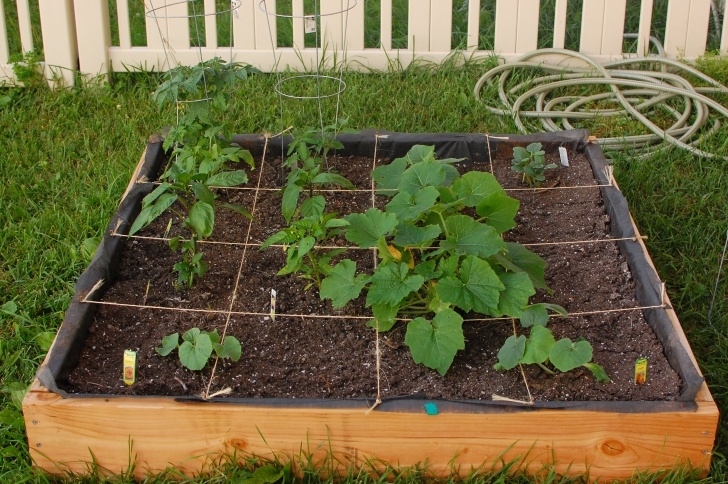 Square Foot Gardening Tomatoes Square Foot Gardening | Supercraftygirl! Image 022