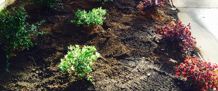 Sta Green Flower And Vegetable Garden Soil Soil Preparation For Beautiful Landscape Flower Beds And Picture 110