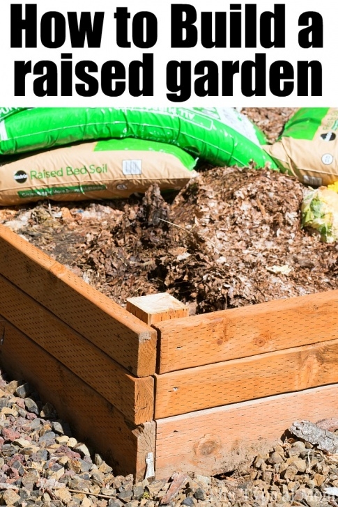Starting A Backyard Garden How To Make A Vegetable Garden · The Typical Mom Image 348