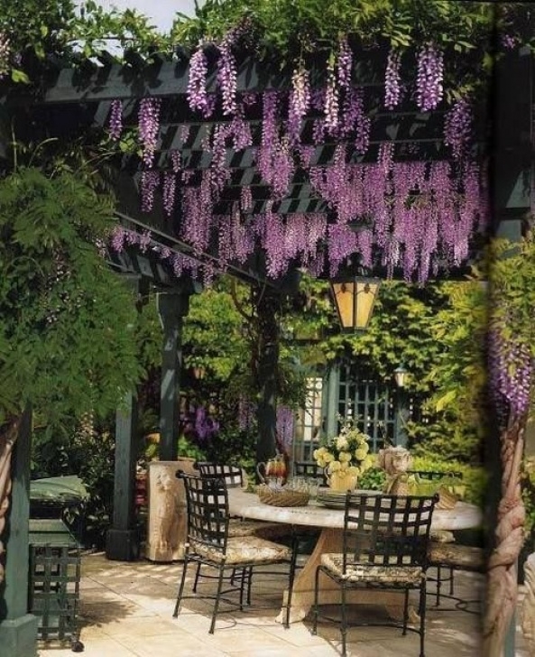 Starting A Backyard Garden Top 18 Shade Structure Designs – Easy Decor Project To Photo 488