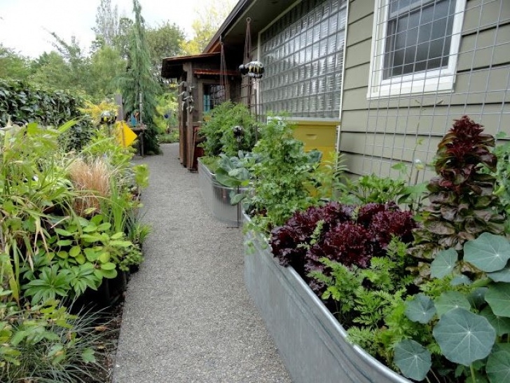 Starting A Small Garden Beautiful Side Yard | Side Yard Landscaping, Small Garden Photo 312