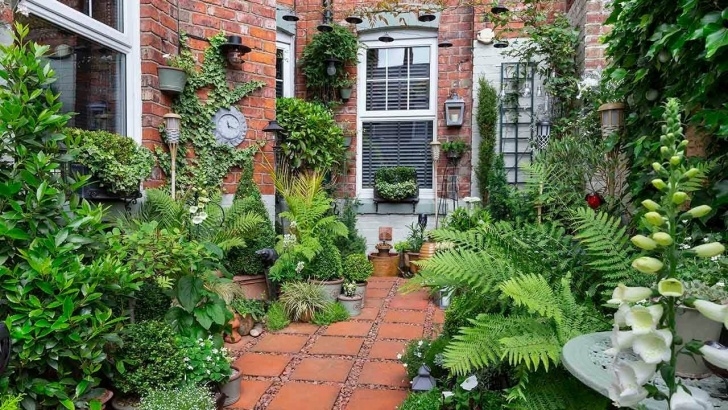 Starting A Small Garden Richard Small - Gardens Of The Year 2018 - Youtube Photo 240
