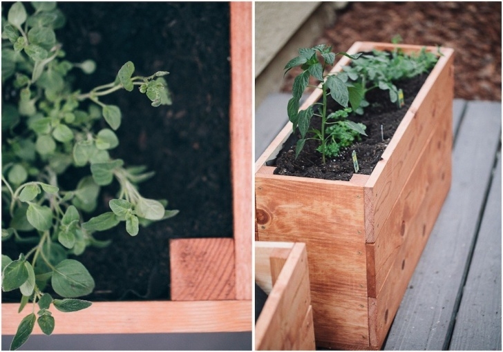 Starting A Small Garden Start Small (Herb Garden) Image 476