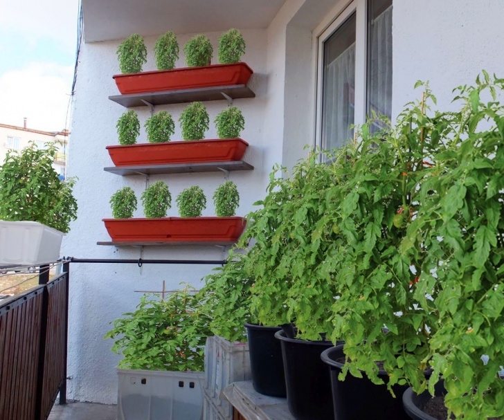 Starting A Small Garden Starting A Balcony Garden Photo 508