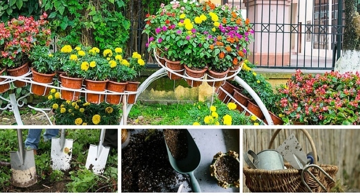 Starting A Small Garden Tips For Beginners To Start A Small Garden - Land8 Picture 751