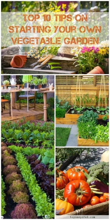 Starting A Veggie Garden Vegetable Garden - Top 10 Tips On Starting Your Own [2018 Photo 300