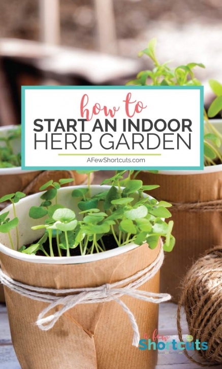 Starting An Indoor Garden How To Start An Indoor Herb Garden - A Few Shortcuts Image 246