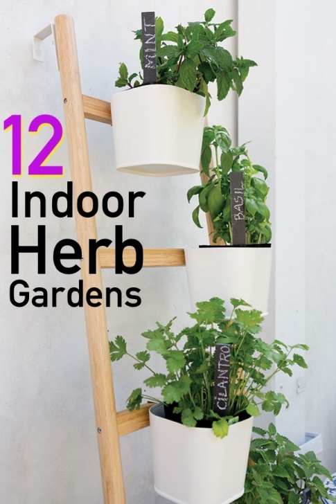 Starting An Indoor Herb Garden 12 Awesome Indoor Herb Garden Ideas | The Unlikely Hostess Photo 621