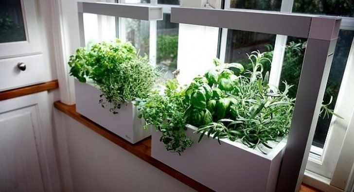 Starting An Indoor Herb Garden 4 Fun &amp; Creative Tips For Growing An Indoor Herb Garden Photo 111