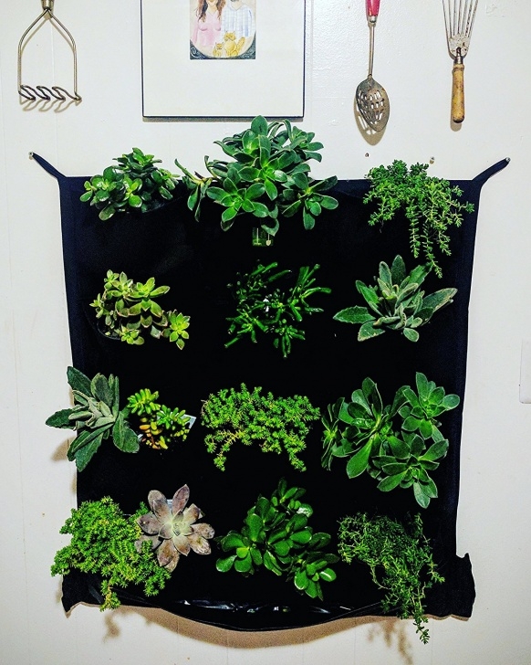 Starting An Indoor Herb Garden How To Start An Indoor Herb Garden - The Indoor Gardens Photo 047