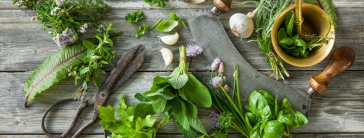 Starting An Indoor Herb Garden Spice Up Your Life – Start An Indoor Herb Garden | Espoma Image 048