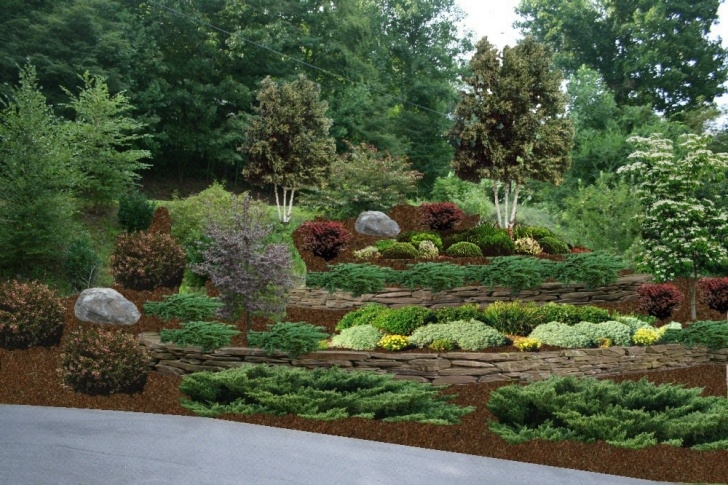 Steep Slope Garden Garden Design Ideas Steep Slope - Video And Photos Photo 989