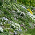 Steep Slope Garden Landscaping Ideas For Sloped Backyard -Garden Design Ideas Photo 950