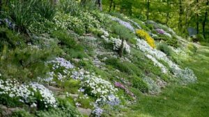 Steep Slope Garden Landscaping Ideas For Sloped Backyard -Garden Design Ideas Photo 950