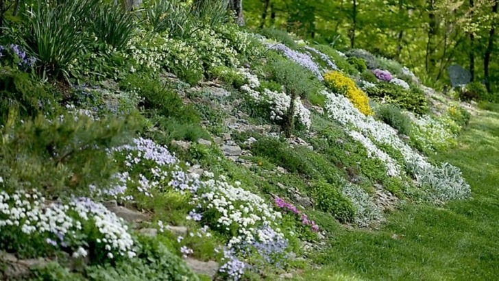 Steep Slope Garden Landscaping Ideas For Sloped Backyard -Garden Design Ideas Photo 950