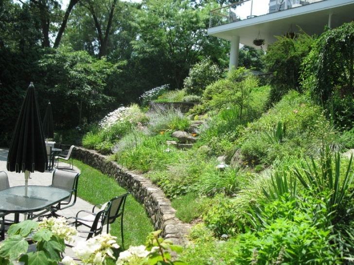 Steep Slope Garden Welldone: Front Lawn Landscaping Ideas Quotations On Education Image 760