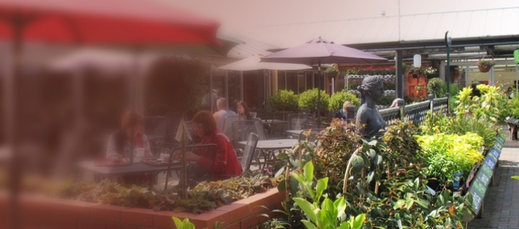 Stewart'S Landscaping And Gardening Services Edward'S At Christchurch - Stewarts Garden Centres Photo 260