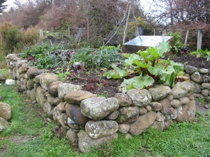 Stones In Garden Beds Jacob Verbeek'S Raised Bed Close Up - Ooooby | Rock Garden Picture 408