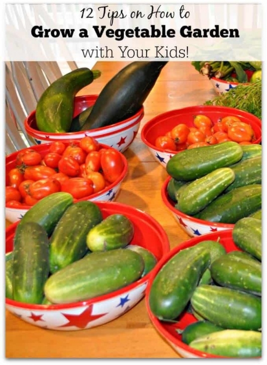 Summer Vegetables To Grow 12 Tips On How To Grow A Vegetable Garden With Your Kids Image 249