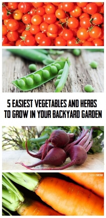 Summer Vegetables To Grow Easiest Vegetables And Herbs To Grow In Your Backyard Photo 299