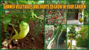 Summer Vegetables To Grow Summer Vegetables And Fruits To Grow In Your Garden - Youtube Picture 009