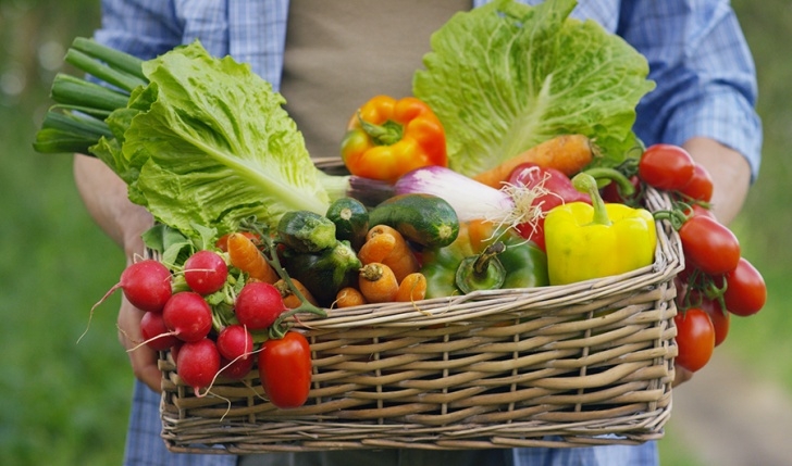 Summer Vegetables To Grow What Vegetables Can You Grow During The Arizona Summer Image 659