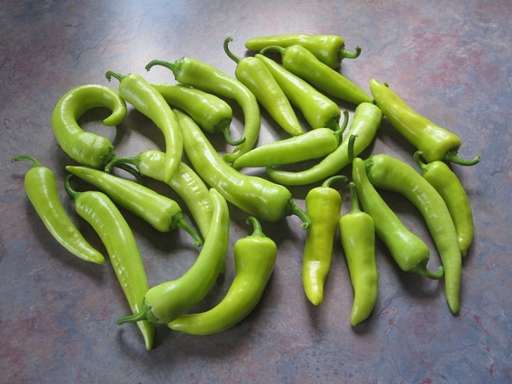 Sweet Banana Pepper Plant Sweet Banana Pepper | World Seed Supply Photo 532