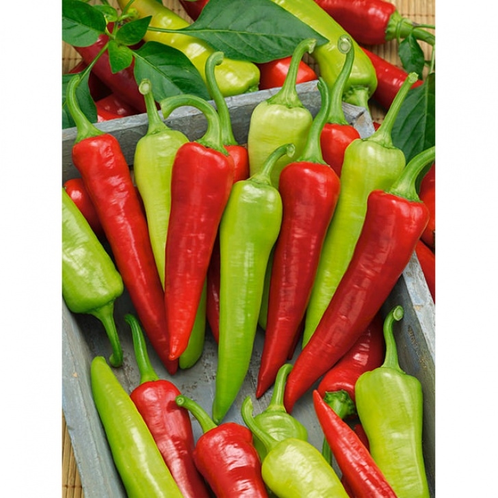 Sweet Banana Pepper Plant Sweet Banana (Sweet Hungarian) Pepper Seeds - Ne Seed Image 000