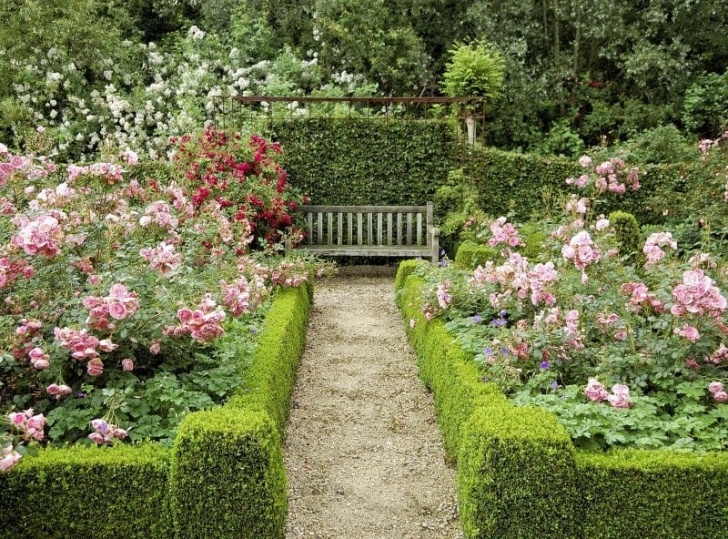Tall Trees For Small Gardens 27 Gorgeous Garden Design Ideas That Will Bring Joy To Image 874