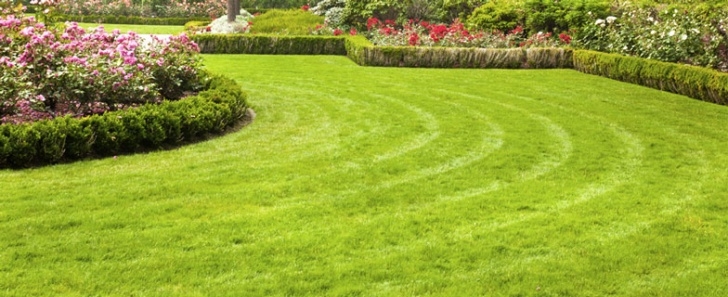 The Gardener Landscape Maintenance Garden Maintenance Essex | Garden Clearance Essex Image 154
