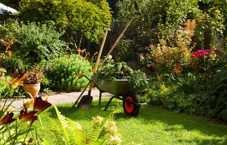 The Gardener Landscape Maintenance General Garden Maintenance - Max'S Landscape And Gardening Picture 723