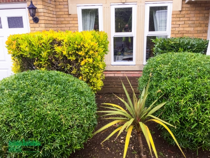 The Gardener Landscape Maintenance Lawn Care And Garden Maintenance Project In Wallington Sm6 Picture 635