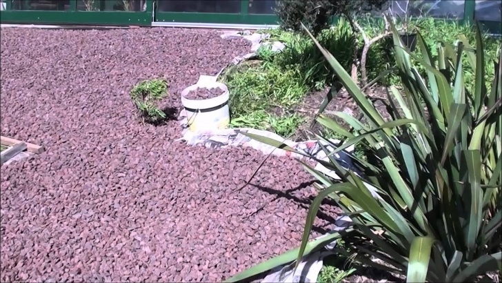 The Gardener Landscaping Landscaping Swimming Pool Garden With Scoria Mulch - Youtube Picture 073